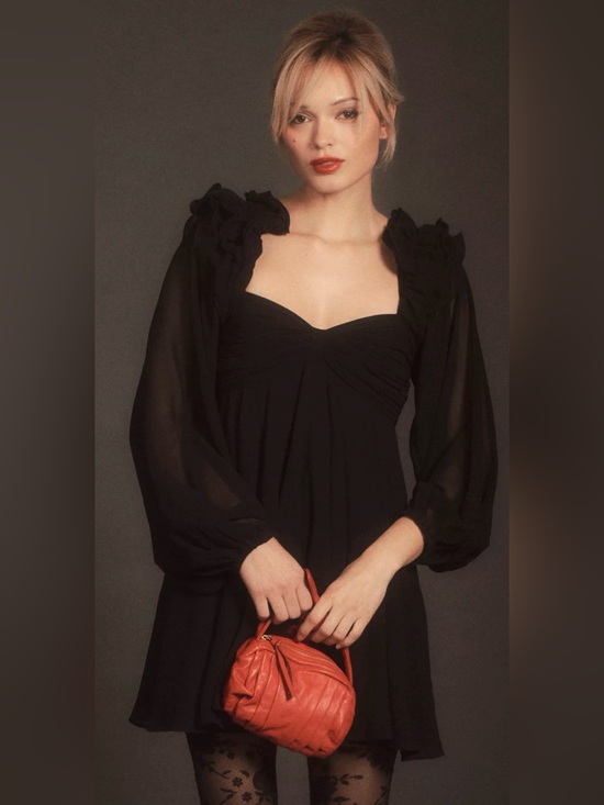 BHLDN Dresses & Skirts - Anthropologie BHLDN Brigitta Long-Sleeve Sweetheart Chiffon Mini Dress SIZE XL